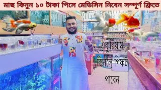 Aquarium Fish Price In katabon 2025|🐠🐠 Aquarium Fish Price | Aquarium | AR Rahman aquarium🐠🐠