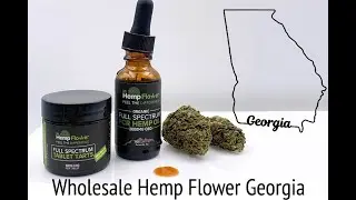 Wholesale Hemp Flower Georgia - Buy Bulk Hemp Here