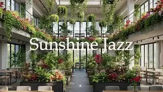 Afternoon Light 🌿 Soft & Breezy Summer Cafe Jazz | Sunshine Jazz