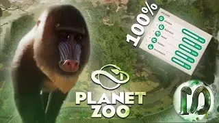 CREATING A PERFECT MANDRILL EXHIBIT - 100% WELFARE! - PLANET ZOO!