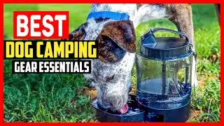 ✅Top 5 Best Dog Camping Gear Essentials 2026
