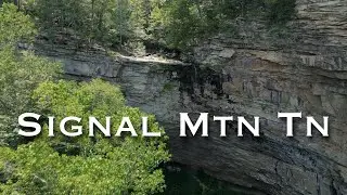 Somewhere on Signal Mtn