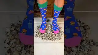 How many BIRD EGGS  🐦 🪺  do you need to stand?! 😳