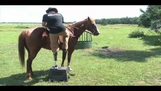 Biodaptinc.com Horse