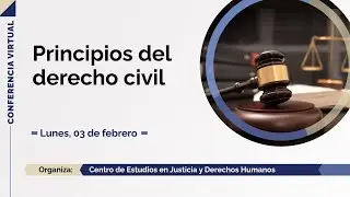 Conferencia | Principios del derecho civil