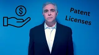 What do patent licenses look like for small inventors?