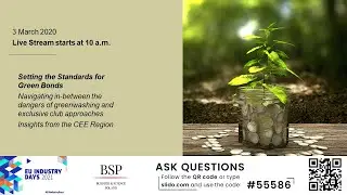 Setting the Standards for Green Bonds #BSP_Connects #EUIndustryWeek