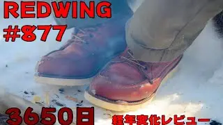 REDWING  877  アイリッシュセッター　 3650日  履き込みレビュー
