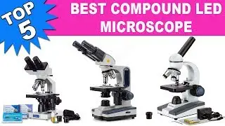 Top 5 Best Compound Led Microscope 2020