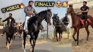 FIRST IN MEERUT🥳 Tyar Ho Jao Big Blast 💥 Ke Liye 😱छेत्र Ki Sabse Badi Or 10 Ghodo Ki Ride 🔥