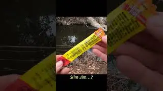 NEW TO FISHING? STAY DETERMINED ( .3.)b #shorts #fishing #beginnerfishing