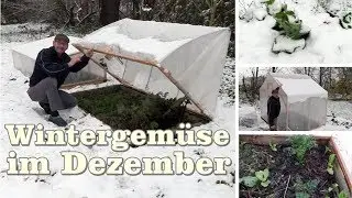 Wintergemüse im Dezember   Gartentipp  1205