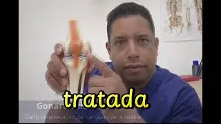 La gonartrosis 