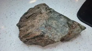 Hampton Butte BIG Find! Green Petrified Wood