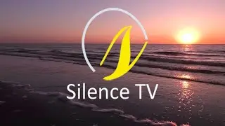 Nice Weather in Scheveningen Beach. Red Sunset. Walk nice and relaxing | Silence TV