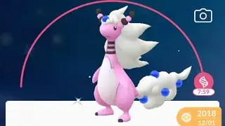 Mega Shiny Ampharos Pok&eacute;mon Go Evo Evolution Maxed to Level 40