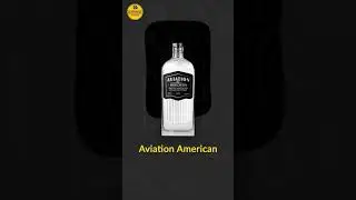 Top 5 Gins in the World!