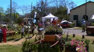 Expo Vivero Caz&oacute;n 2013 / Televisi&oacute;n Pueblerina