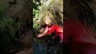 #gaulay #nepalisong