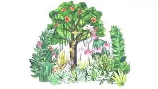 Simple Animated Video: What is a carbon footprint? What can you do about yours?