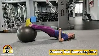 Stability Ball Hamstring Curl