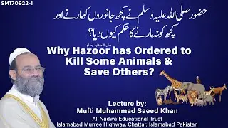 Why Hazoor ﷺ Ordered to Kill Some Animals & Save Others?حضور ﷺنے جانوروں کو مارنے کا حکم کیوں دیا؟
