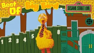 The Best of Big Bird in Sesame Street Live! 1989-2013 Compilation