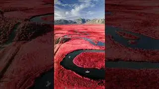 INFRARED PHOTO EASY TRICK IN PHOTOSHOP ep.186