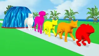 Paint Animals Rabbit Cat Sheepdog Brittany Dog Fountain Crossing Cartoon Animation