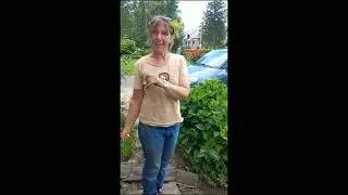 Regentuin op kleigrond