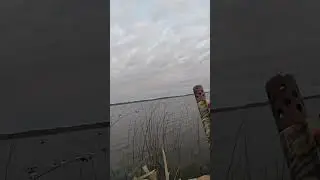Shooting sea ducks in Mississippi fly way. Scoters incoming #duckhunting #hunting #duck