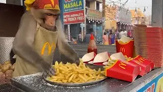 Monkey Chef Work at India Street Food