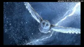 Harry Potter Hardstyle Remix (Hedwig's Theme)