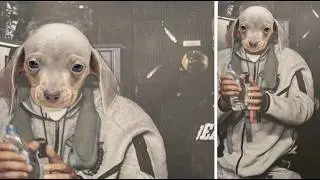 roller dogs1776
