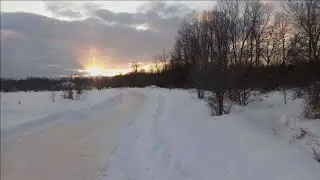 Skating along a wooded trail