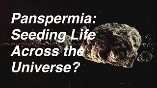 Panspermia: Seeding Life Across the Universe?