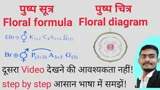 Pushp sutra class 11 | Floral formula and floral diagram |