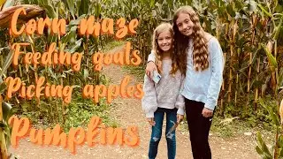 Going to Treworgy Family Orchards! Picking apples and corn maze!