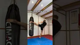 Punches vs kicks🤔