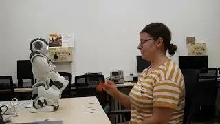 Animal Match with NAO: Fun and Easy Learning for Kids