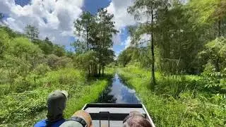 Eco Tours of the Everglades