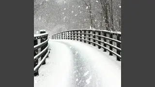 Snowy Day Loops