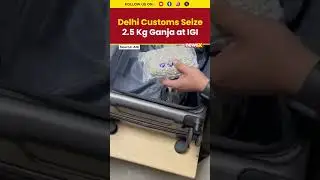 Delhi Customs Seize 2.5 Kg Ganja at IGI Airport | Smuggler Nabbed During Routine Check