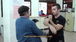 Wing Chun 17 punches