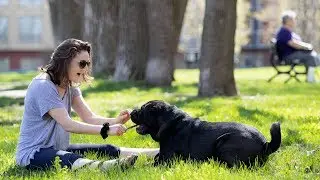 Five tips to keep your pet safe and cool in the heat
