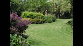 LawnRanger