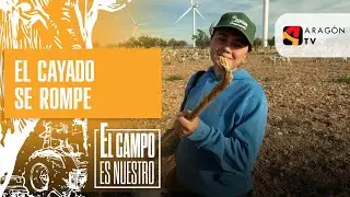 El cayado roto de Raquel