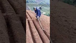 Backpack-powered cultivator tool for farming.