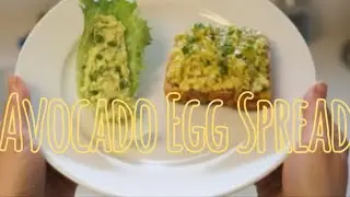 Great for picnic, party, low-calories daily food Avocado Egg Spread #weightloss #fitness #healthy 