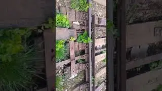 Привод стрелочного перевода